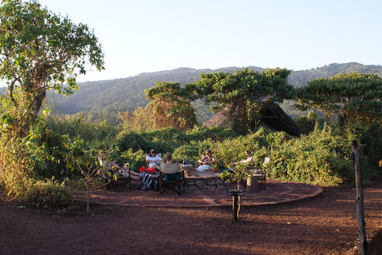 Crater Forest Tented Lodge カラトゥ エクステリア 写真