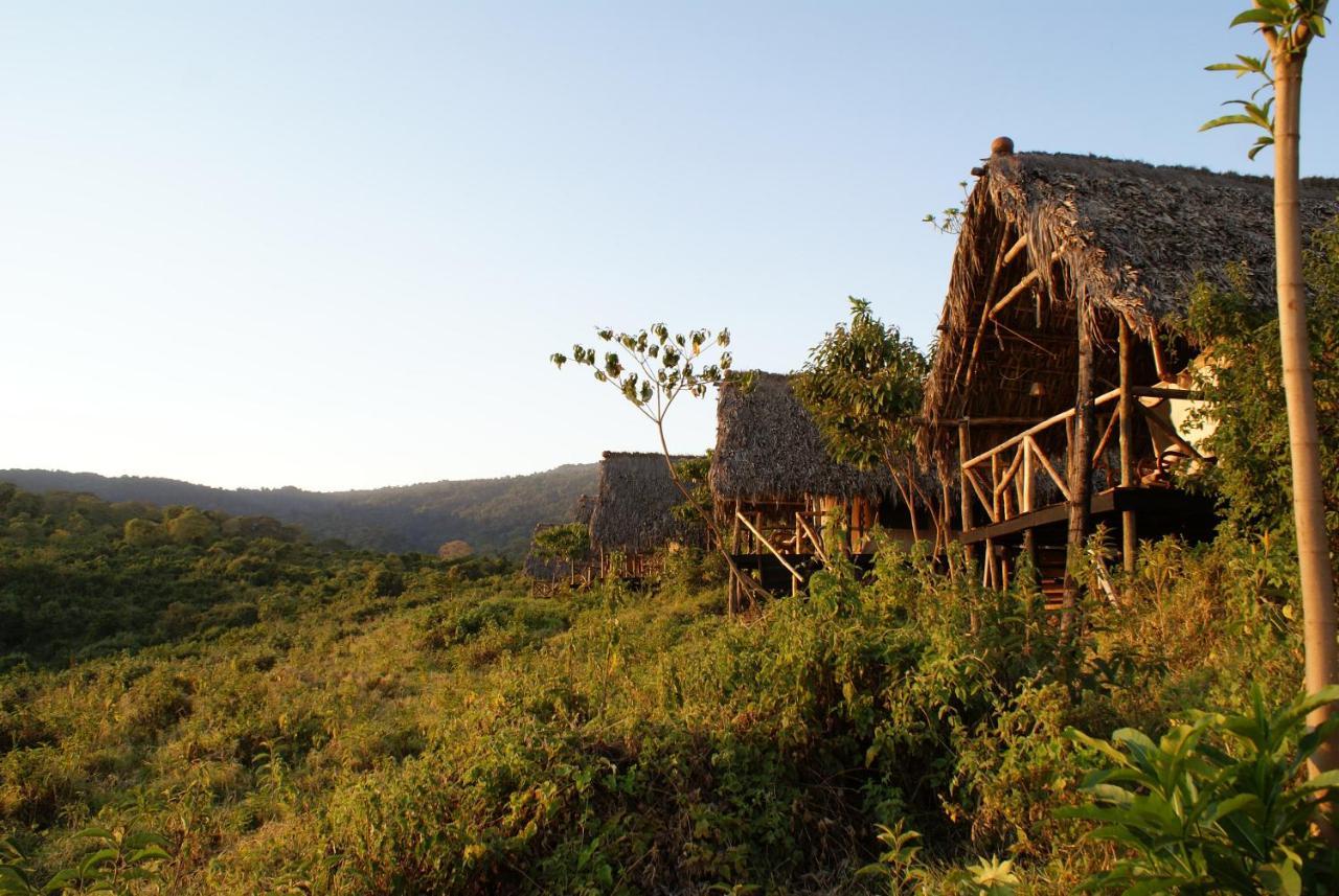 Crater Forest Tented Lodge カラトゥ エクステリア 写真